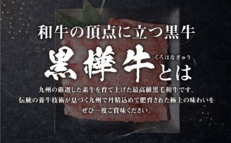 くまもと 黒毛和牛 黒樺牛 A4~A5等級 ローススライス すき焼き用 400g 牛肉 和牛