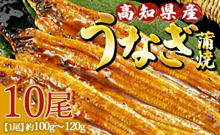 高知県産養殖うなぎ蒲焼 10尾(合計1000g以上) ss-0041