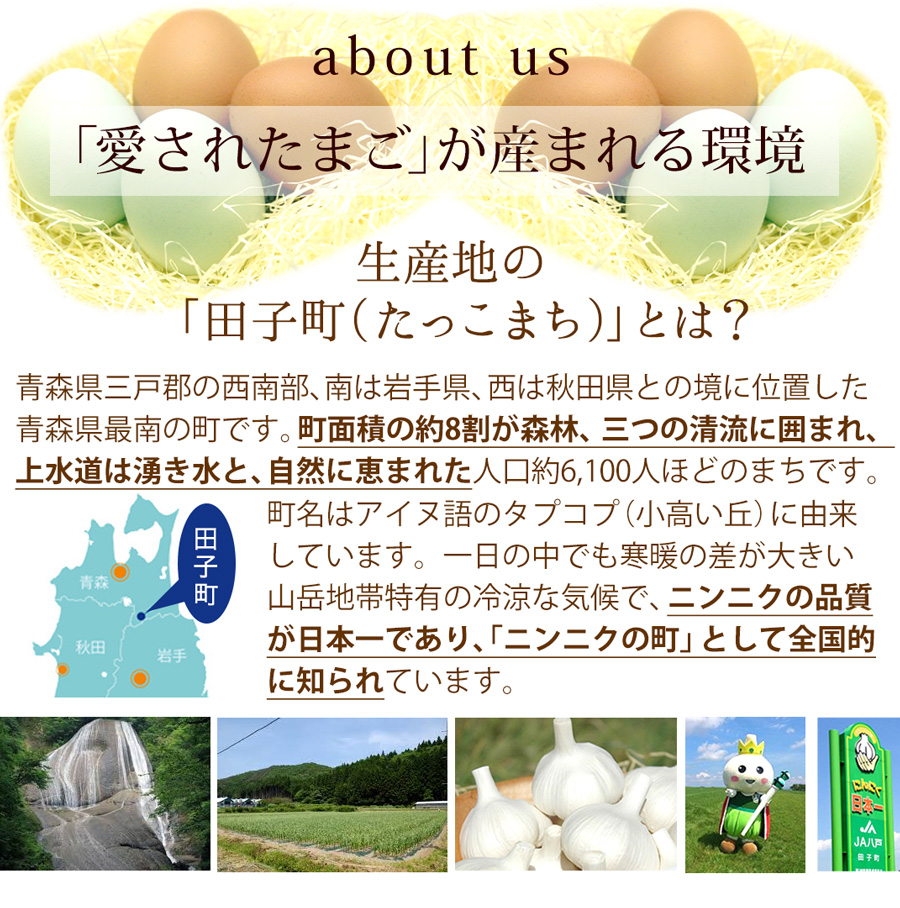 卵 にんにく卵 〔生卵75個入(生卵60個 破損保証15個)〕 玉子 たまご 高級 卵かけご飯 送別会 卒業 入学