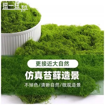 台灣出貨🚀 仿真苔蘚 草皮 盆景盆栽 造景 花盆鋪麵草 微景觀布置 擺件草坪 庭院裝飾 手作材料 手作配件