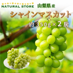 [最短順次発送]  シャインマスカット 約350g×2房 計700g 山梨県産ほか 夏ギフト お取り寄せ 夏ギフト お中元 御中元