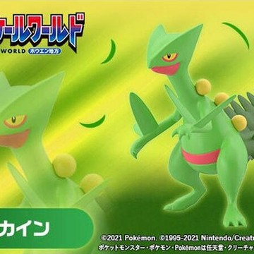 Beau特佛toys 1月預購 代理 盒玩 精靈寶可夢 SCALE WORLD 豐緣地區 蜥蜴王 再販 0904