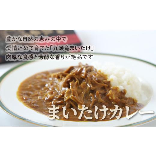 ふるさと納税 福井県 大野市 レンジでチン！水のまちのカレーライスセット