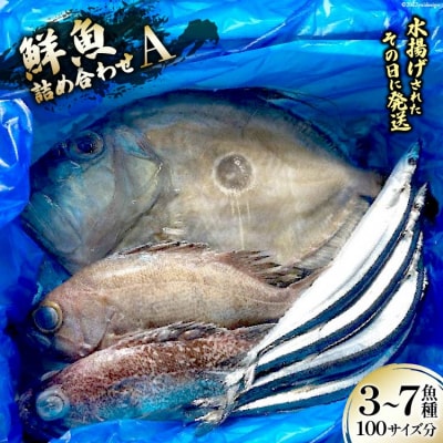 鮮魚 詰め合わせ A 3～7魚種 100サイズ分 産地直送 旬 魚介 魚 さかな   さんりくみらい