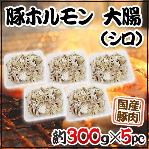 国産 ”豚大腸（シロ）ボイル” 約1.5kg （約300g×5pc） カット済み