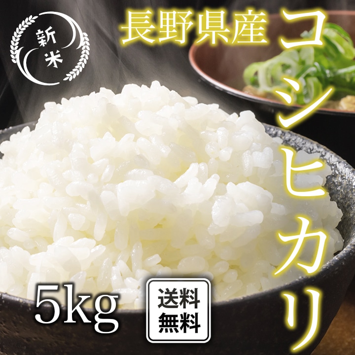 こしひかり 5kg 令和4年産 長野県産 米 お米 白米 おこめ 精米 単一原料米 ブランド米 5キロ