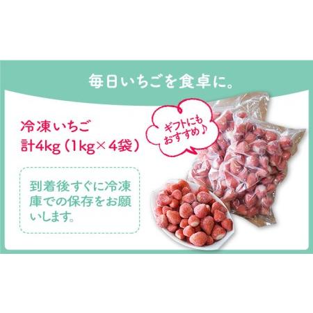 ふるさと納税 王様のいちご 摘みたてこおりいちご 4kg（冷凍いちご）いちごさん さがほのかフルーツ 果物 イチゴ [HAF004] 佐賀県江北町