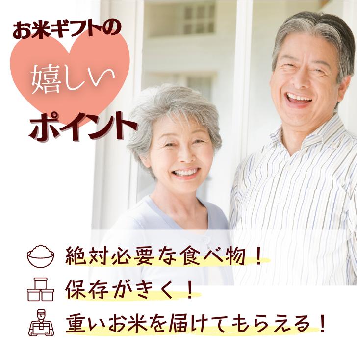 新米 5年産 新潟 米 コシヒカリ 新潟 コシヒカリ 5kg 美味しい お米 5kg 新潟産 受注してから精米します 白米 精米 減農薬 農家 直送 ギフト 内祝い プレゼント