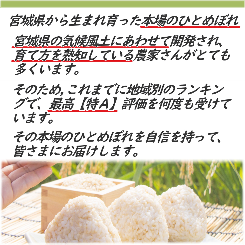 令和5年産 新米 宮城県産 ひとめぼれ 5kg×2 送料無料 10kg 米10kg 送料無 小分け