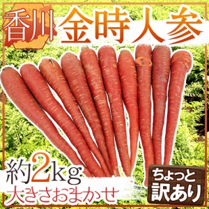 香川県 ”金時人参” ちょっと訳あり 約2kg 大きさおまかせ 送料無料