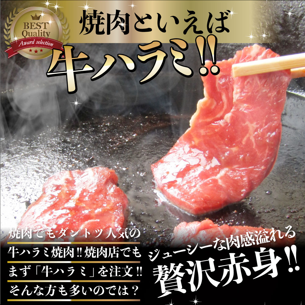 牛 ハラミ 焼肉 10kg（250g×40P）赤身 はらみ