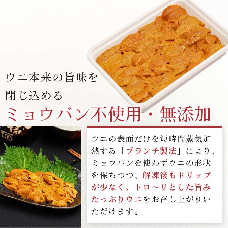 生うに 100g 2パックセット チリ産 無添加 みょうばん不使用 お刺身用 ウニ 雲丹 冷凍 送料無料 お取り寄せ お歳暮 御歳暮 クリスマス