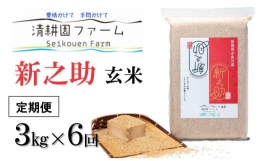 新米新之助3kg×6回 清耕園ファーム 農家直送 新潟の新しいブランド米（6ヶ月お届けします） 令和5年産