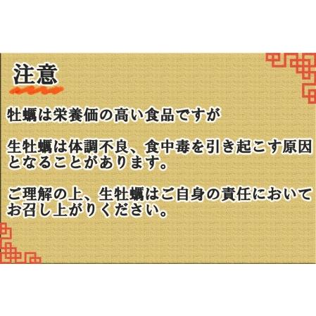 ふるさと納税 AG-004海のミルク・豊前海一粒かき（3ｋg） 福岡県行橋市