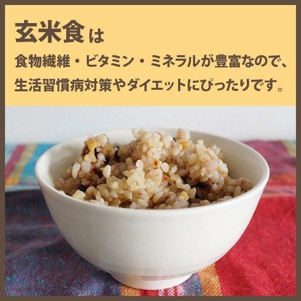 玄米 令和5年産 熊本県こしひかり 10kg