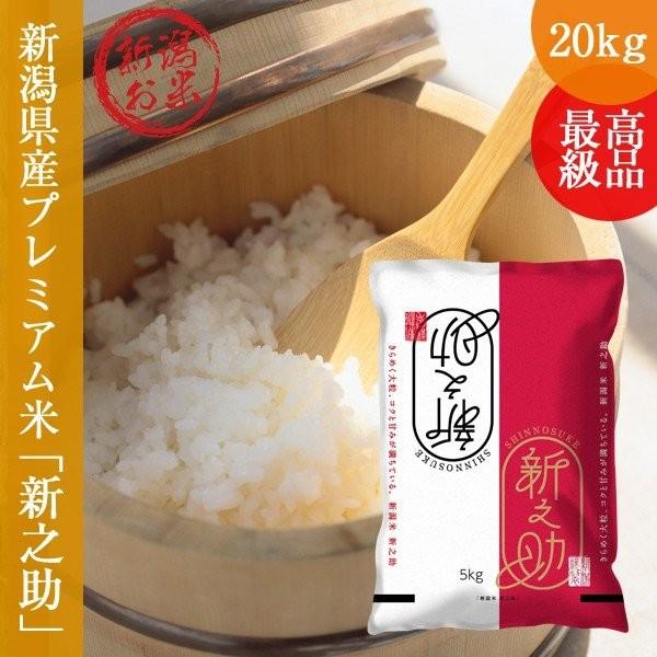 新之助 しんのすけ 20kg (5kg×4袋 新潟産 送料無料 お米 白米 令和5年産