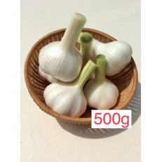 ニンニク 500g