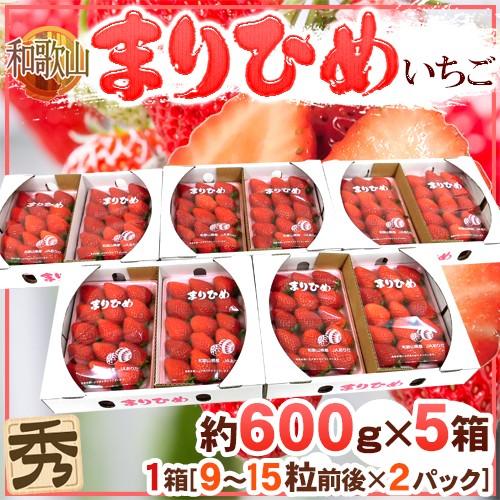 和歌山県 ”まりひめいちご（毬姫苺）” 秀品 2パック入り（1パック 9〜15粒 約300g）×《5箱》 送料無料