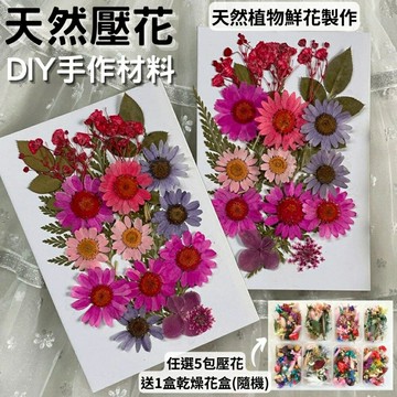 【A-ONE】天然花材 壓花 壓花書籤 壓花材料包 乾燥花書籤 乾燥壓花 書籤DIY 押花 乾燥花