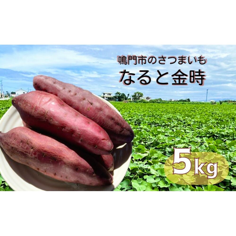 本場・徳島県鳴門市産「なると金時」約5kg