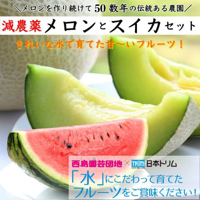 高知県産 マスクメロン スイカセット 大玉 誕生日 高級 ギフト