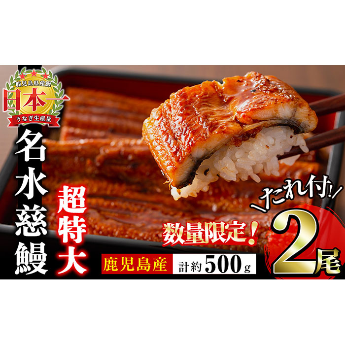 鹿児島県産うなぎ蒲焼 名水慈鰻 超特大サイズ２尾(1尾あたり236~270g)＜計約500g＞ a8-059