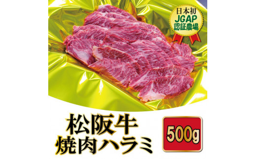 K10　松阪牛焼肉（ハラミ）500g