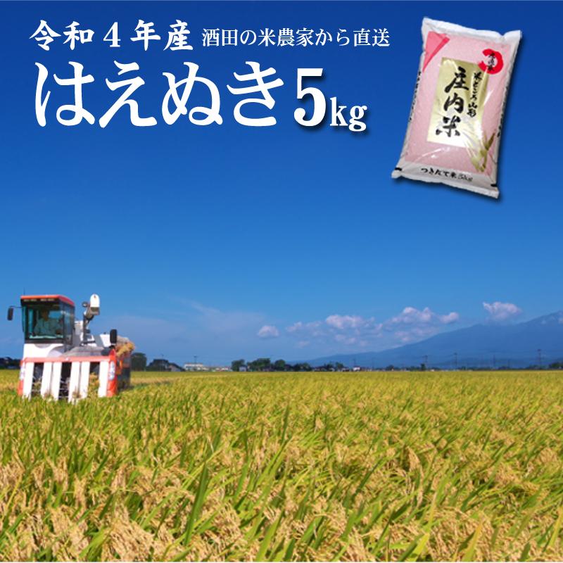 農家のお米直送 令和5年産 はえぬき（精米） ５kg