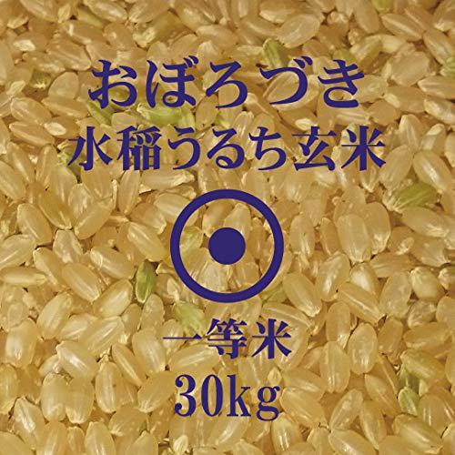 おぼろづき玄米　30kg　令和４年産　北海道産