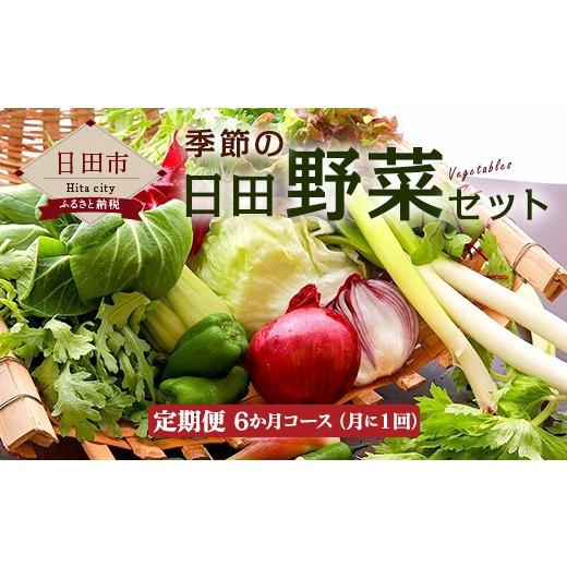 ふるさと納税 大分県 日田市 Ａ−０５−６季節の日田野菜 セット