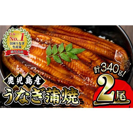 ふるさと納税 鹿児島県 鹿屋市 1121 鹿児島産うなぎ清らかな地下水育ち！ 国産 本格 うなぎ 鰻 蒲焼（鹿児島）