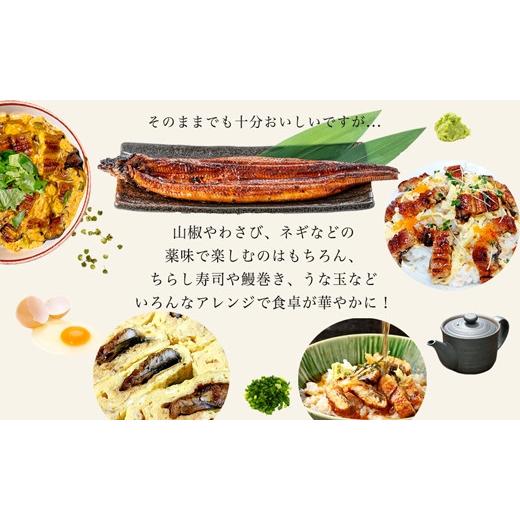 ふるさと納税 愛知県 西尾市 愛知県三河一色産うなぎ蒲焼き特大サイズ2尾 きざみうなぎ2食入りセット（長焼き2尾で400g   …