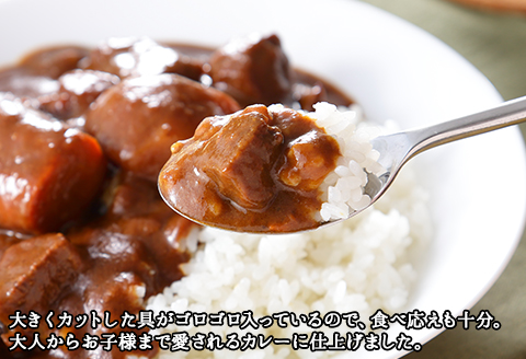 470. ビーフカレー 5個 セット 中辛 牛肉 業務用 レトルトカレー 野菜 備蓄 まとめ買い 北海道 弟子屈町