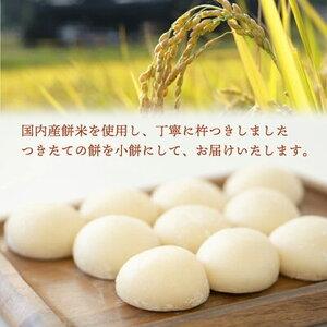 ふるさと納税 B6001n_和菓子おぐらやの 生餅 3kg 和歌山県湯浅町