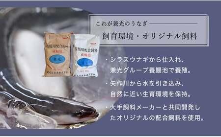 愛知県三河一色産うなぎ蒲焼き特大サイズ2尾 きざみうなぎ2食入りセット(長焼き2尾で400g  きざみうなぎ50g×2食)・U022-19