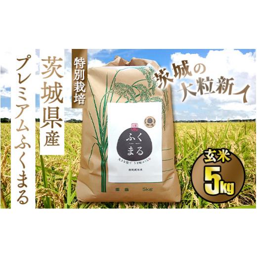 ふるさと納税 茨城県 守谷市 ☆茨城の大粒新人 プレミアムふくまる特別栽培米 5kg