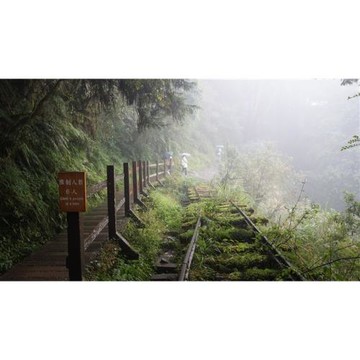 宜蘭旅遊│太平山最美小徑見晴步道．鳩之澤吊橋溫泉一日│大人囝仔-24TEYLNSPA