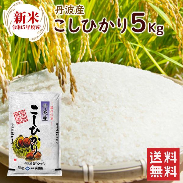 新米 丹波産（兵庫県）コシヒカリ5kg（5kg×1袋）  送料無料 令和5年産 精米 お米 米 丹波産  兵庫県産 5kg（北海道・沖縄別途送料）（配達日・時間指定は不可）