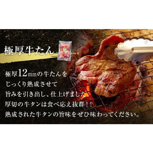 ふるさと納税 宮城県 東松島市 牛たん　２種　食べ比べ 1kg　冷凍　牛たん　極厚牛たん　霜降り牛たん　小分け　バーベキュー　焼肉　BBQ　宮城県　東松島市