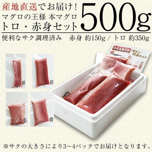 今だけポイント10％ 本マグロ トロ 赤身セット500g 紀州串本産 養殖 まぐろ 鮪 刺身 柵 冷凍 送料無料 本まぐろ