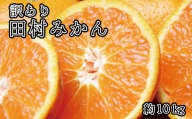 田村みかん　10kg　※2023年11月下旬〜2024年1月下旬頃に順次発送予定(お届け日指定不可)