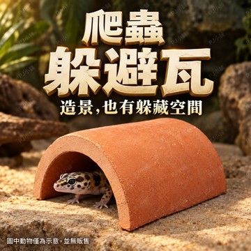 PJ小舖｜守宮爬蟲躲避 簡易型瓦片 陶瓷 加濕保濕窩 兩棲躲避屋 躲避洞 躲藏棲息屋 洞穴 山洞 豹紋 蜥蜴 角蛙