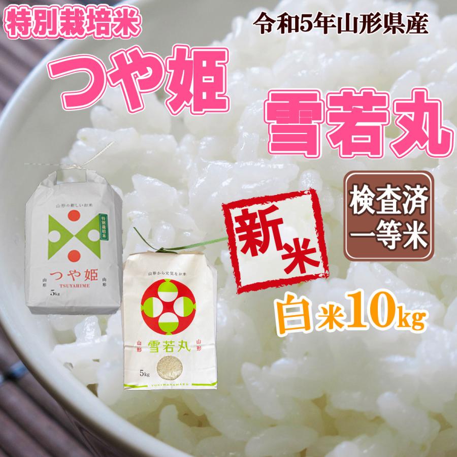 令和5年産 新米 送料無料 山形県産 つや姫5キロ 山形県産 雪若丸 5キロ 白米 セット 十キロ 10kg