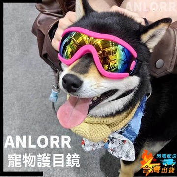 【台灣出貨】寵物護目鏡 防紫外線 狗狗風鏡 迷你小狗防風鏡 寵物眼鏡 泰迪 雪納瑞 寵物墨鏡 寵物太陽眼鏡 狗狗墨鏡