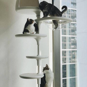 極地貓跳台 Whitepole Light 支援您與毛孩的所有宇宙星球探險