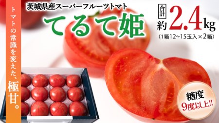 スーパーフルーツトマト てるて姫 中箱  約1.2kg×2箱  糖度9度以上 ブランドトマト フルーツトマト トマト とまと [BC034sa]