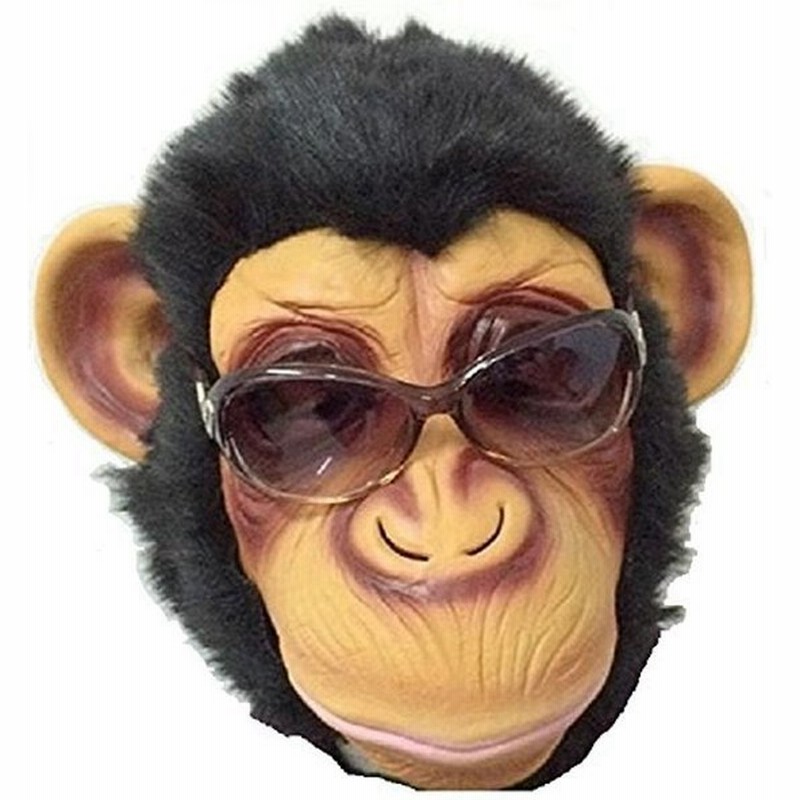 二点セット 猿 チンパンジー Tismartcoder Com Br