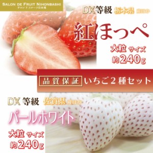 [予約 2024年2月11日-2月14日の納品] バレンタインデー 紅ほっぺ × パールホワイト 約240g×4パック DX 化粧箱 いちご