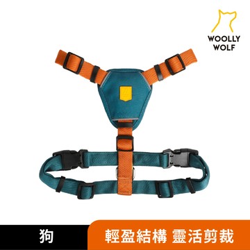 【WOOLLY WOLF】 護胸線型胸背帶 共4色 ｜穿脫方便｜時尚色彩
