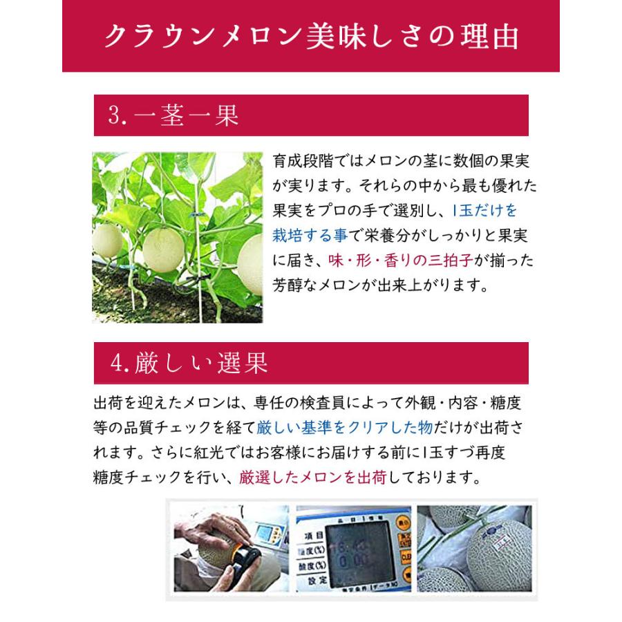 静岡産 クラウンメロン 中玉 1玉 1.2kg前後  マスクメロン フルーツ ギフト 内祝  果物